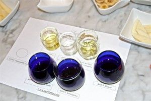 Vasos de cata, aceite, tipos de aceite, tipos aceituna, Blos Esteban Capdevila