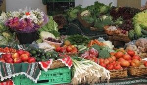 Verduras, hortalizas, mercado, Donosti, Agricultura biológica, Blog Esteban Capdevila