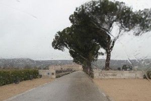 Bajo la lluvia El Hotel Abadía Retuerta Le Domaine. Blog Esteban Capdevila