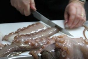 TROCEANDO PULPO. BLOG ESTEBAN CAPDEVILA