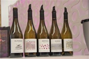 Grandes vinos de Ronsel do Sil. Blog Esteban Capdevila