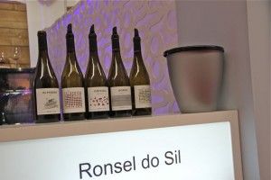 Ronsel do Sil. Cinco vinos espectaculares todos ellos. Blog Esteban Capdevila