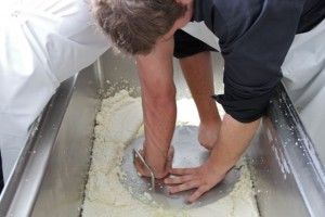 COMPACTANDO PARA DESUERAR DEL TODO EL QUESO CANTAGRULLAS. BLOG ESTEBAN CAPDEVILA