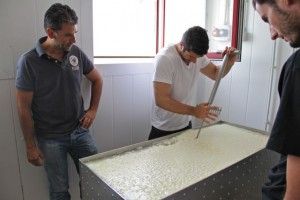 EL EQUIPO DE PACO RONCERO HACIENDO QUESO EN CANTAGRULLAS. BLOG ESTEBAN CAPDEVILA
