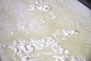 LECHE CUAJADA CANTAGRULLAS. BLOG ESTEBAN CAPDEVILA
