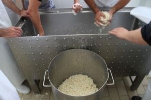 LLENANDO EL MOLDE DE 40 CANTAGRULLAS. BLOG ESTEBAN CAPDEVILA