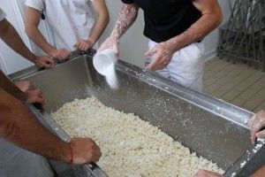 SALANDO QUESO CANTAGRULLAS. BLOG ESTEBAN CAPDEVILA