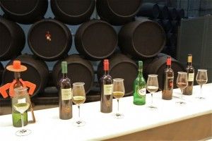 CATA DE VINOS GONZÁLEZ BYASS. BLOG ESTEBAN CAPDEVILA