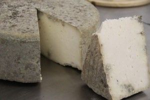 QUESO DE CABRA ELABORADO POR RUBÉN VALBUENA EN EL BUCARITO. BLOG ESTEBAN CAPDEVILA