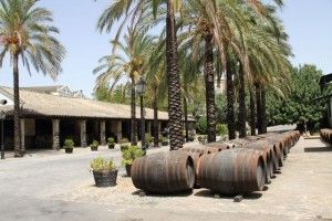 TONELERÍA DE BODEGAS TÍO PEPE. BLOG ESTEBAN CAPDEVILA