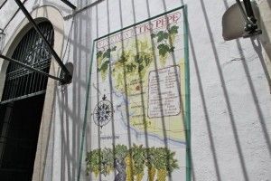 VIÑEDOS DE TÍO PEPE (GONZÁLEZ BYASS). BLOG ESTEBAN CAPDEVILA