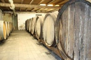 Toneles en Domaine Plageoles. Blog Esteban Capdevila