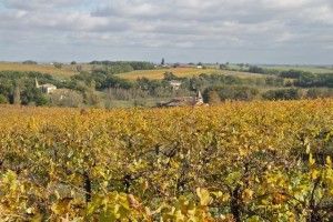Viñedos de Domaine de Plageolles Gaillac. Blog Esteban Capdevila