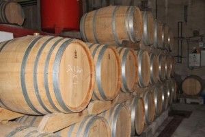 Sala de toneles de Bodega Domaine d´Escausses. Blog Esteban Capdevila