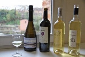 Vinos de Gaillac en la abadia de Saint Michel. Blog Esteban Capdevila