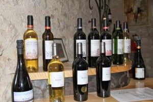 vinos de Domaine d´Escausses. Blog Esteban Capdevila