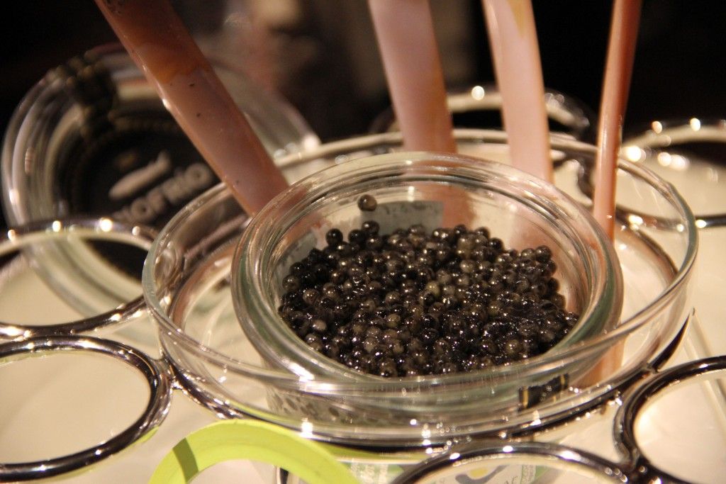 CAVIAR RÍO FRÍO