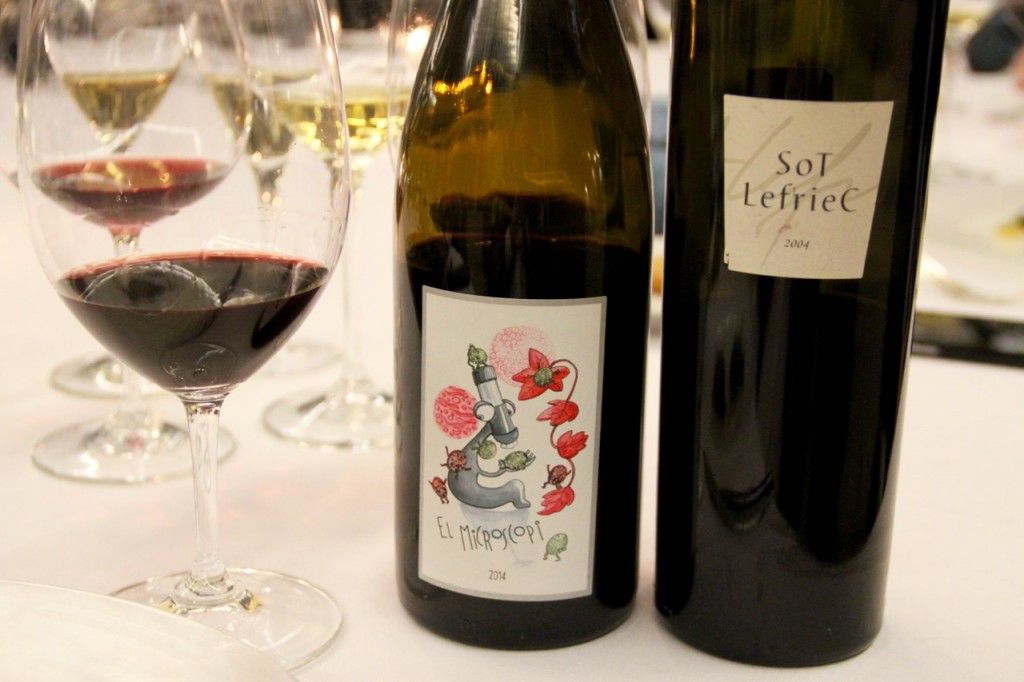 EL MICROSCOPI 2014 Y SOFT LEFRIEC 2004 - 1