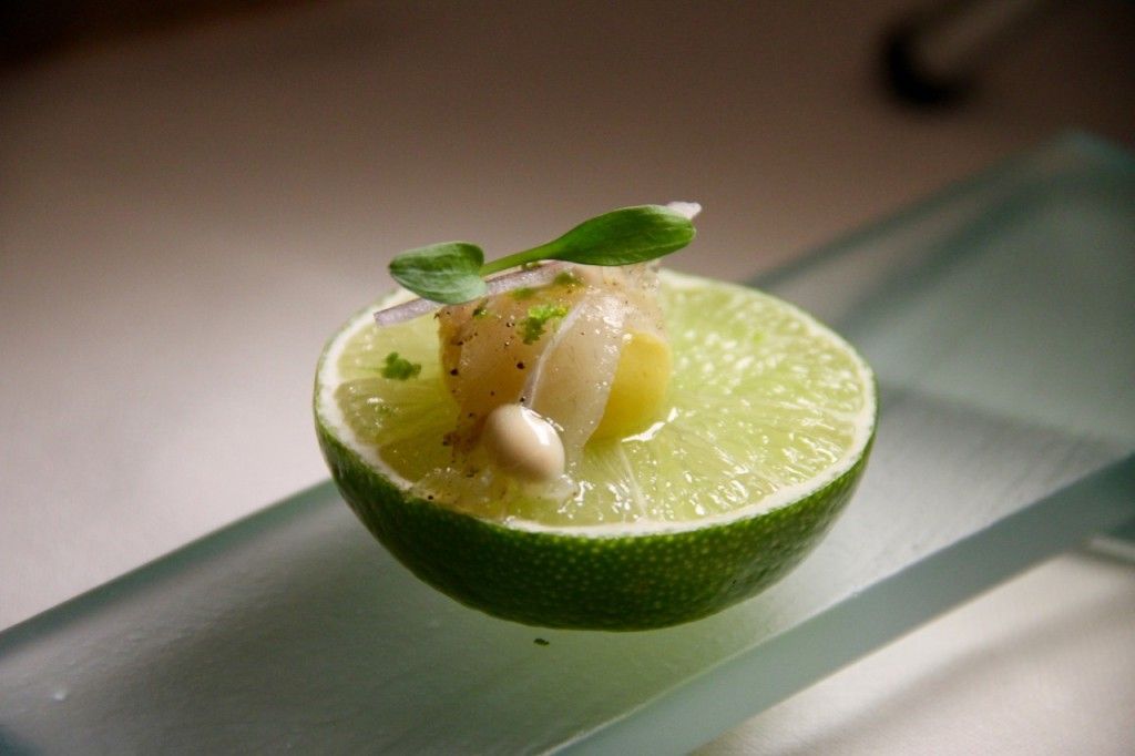 TIRADITO DE CORVINA - 1